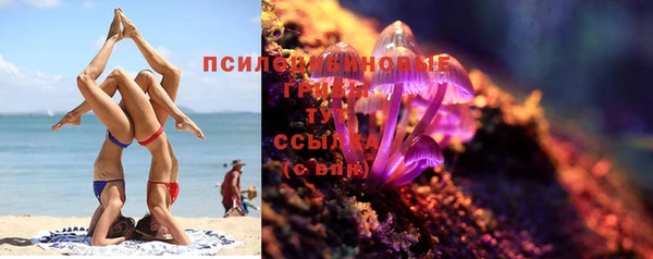бошки Арсеньев
